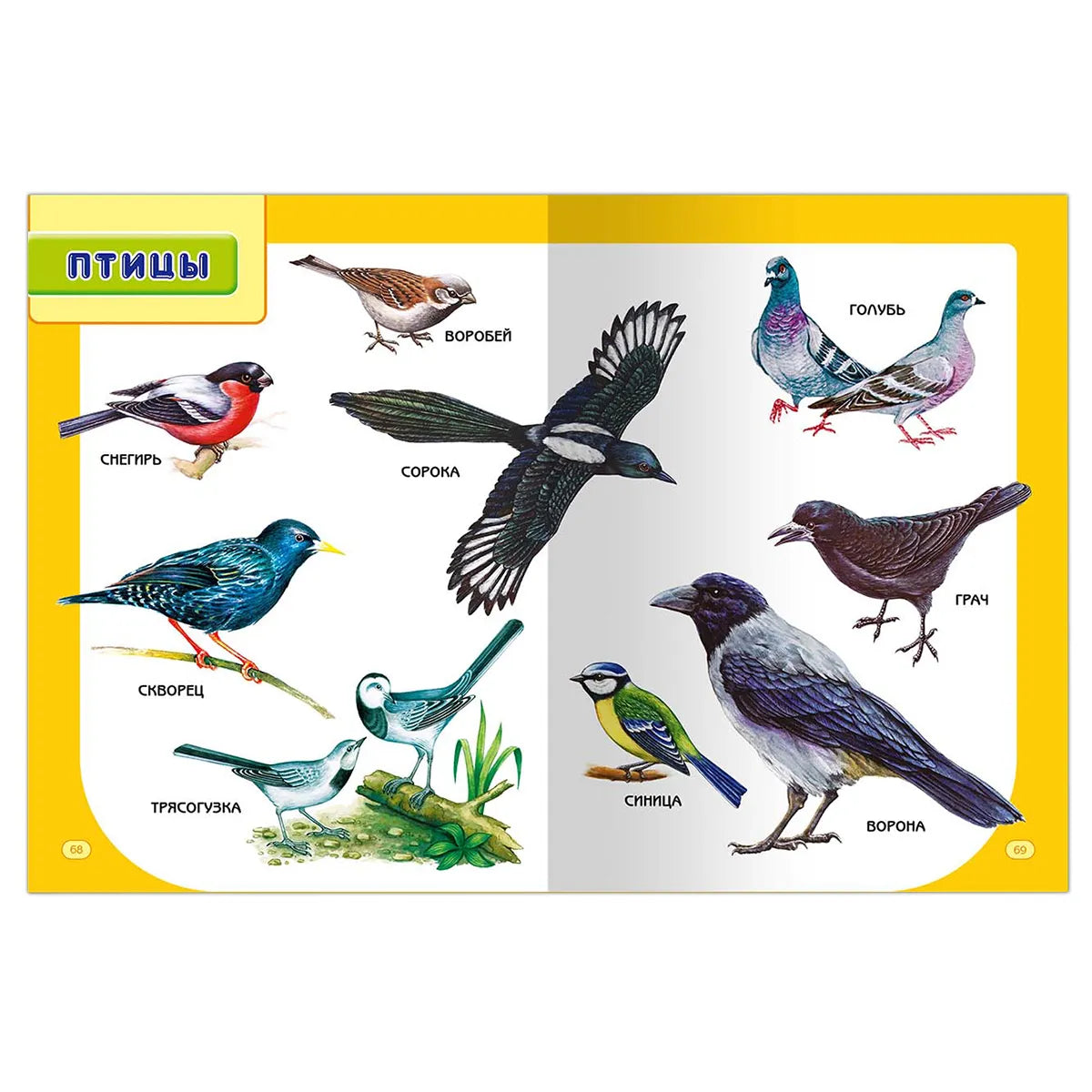 "Первая книга для самых маленьких"