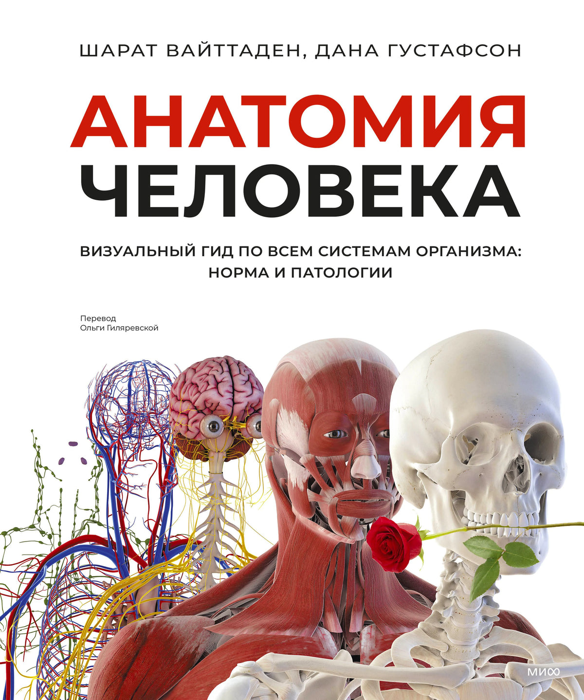 Обложка «Анатомия человека» с анатомическими моделями, черепом и розой.