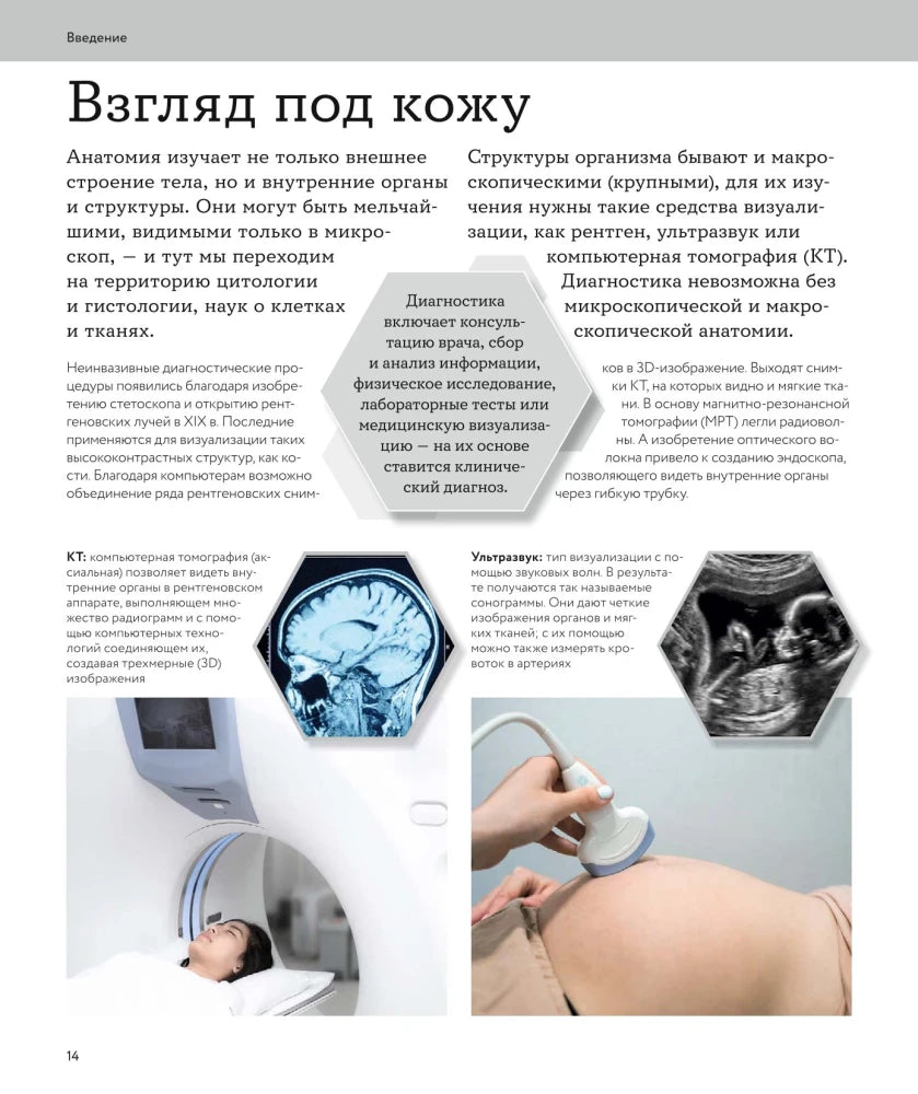 Страница «Взгляд под кожу» о компьютерной томографии и УЗИ.