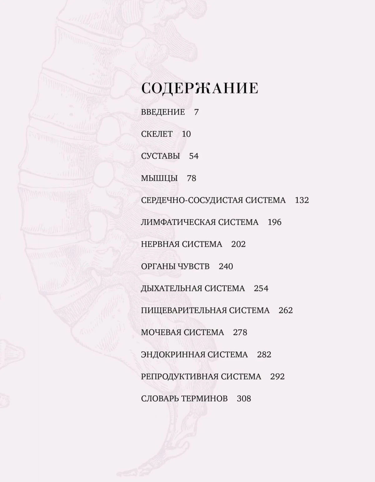 Страница «Содержание» с перечнем разделов по анатомии.