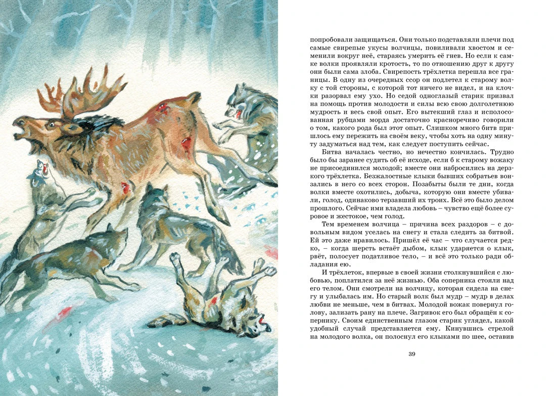 Разворот страницы 39 с текстом и иллюстрацией дерущихся волков в снегу.