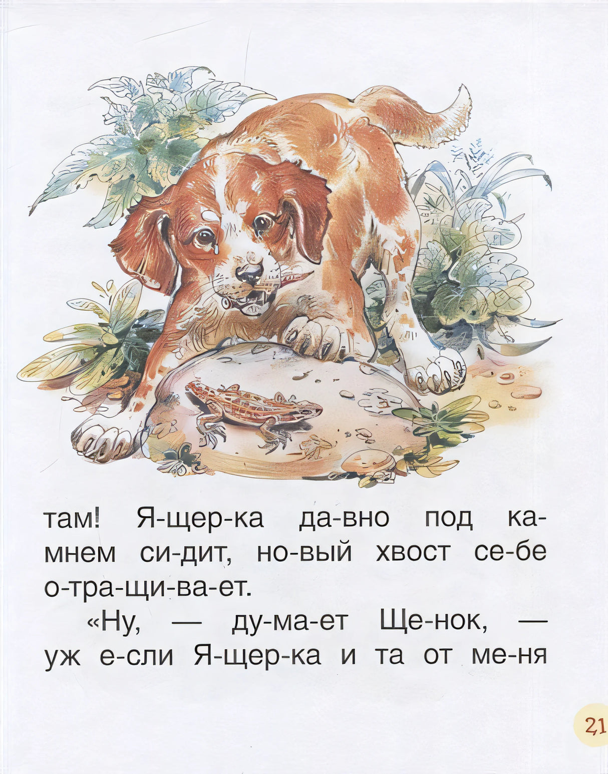 Бианки В. Рассказы о животных 978-5-353-09238-4 - 3
