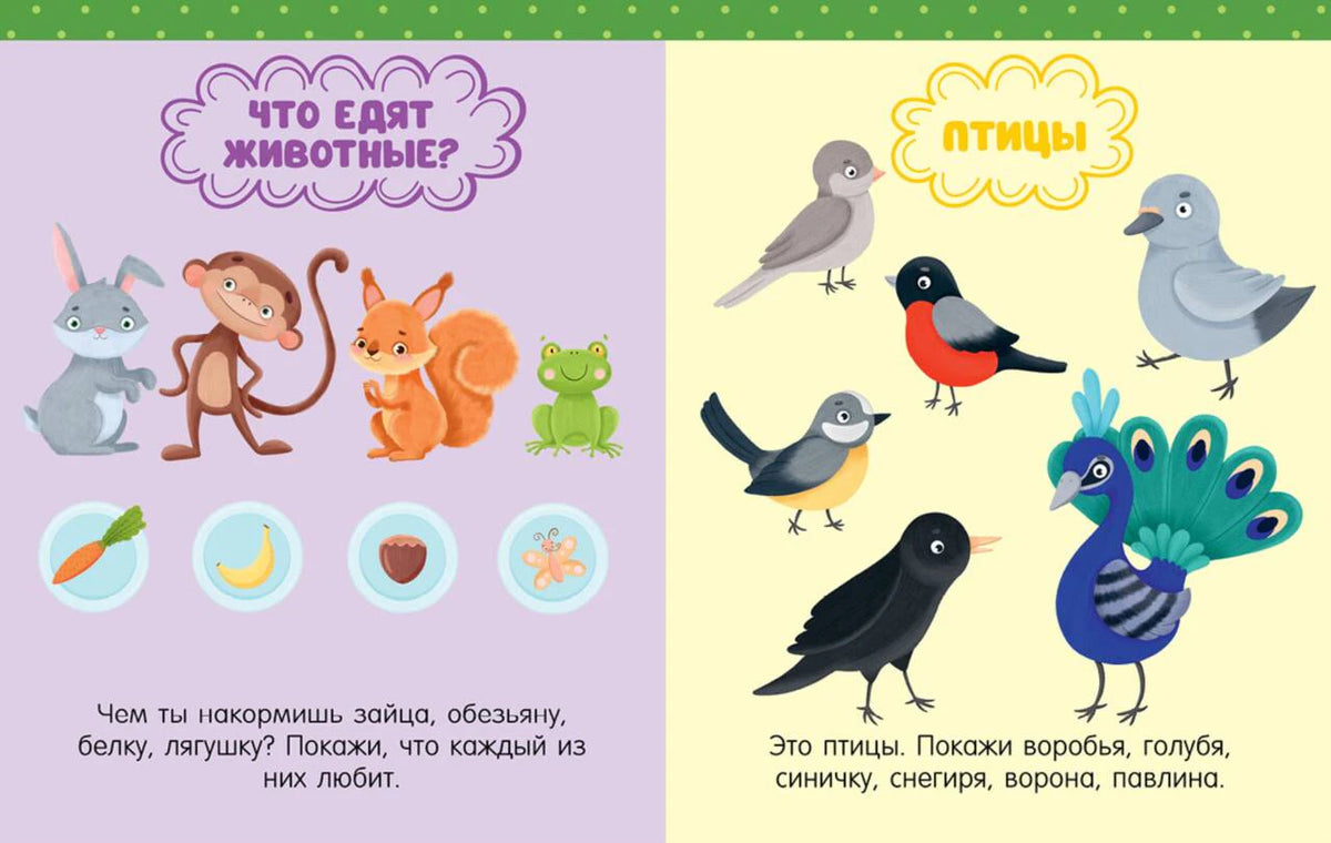 Разворот о пище животных и птицах с цветными рисунками.