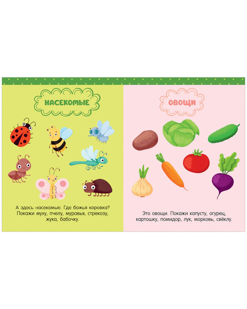 Разворот с насекомыми и овощами на цветном фоне.