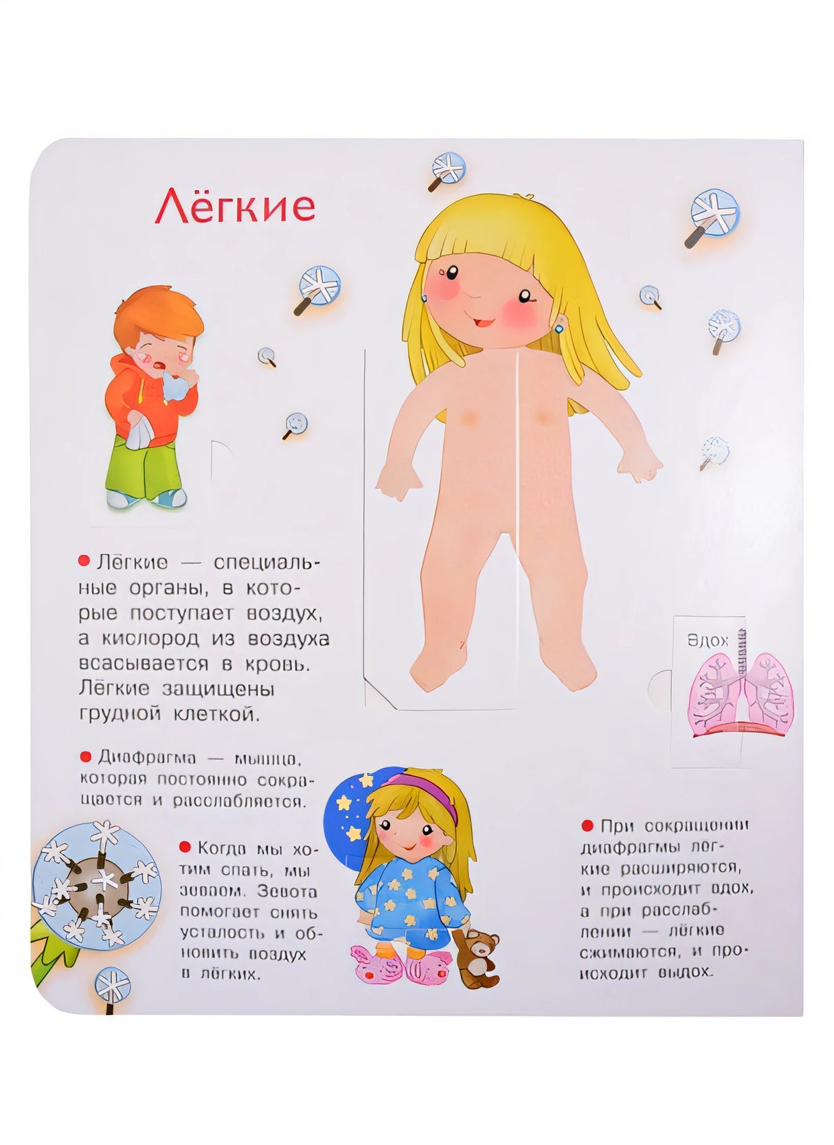 Что? Почему? Зачем? Наше тело. 36 волшебных окошек 978-5-465-04029-7 - 2