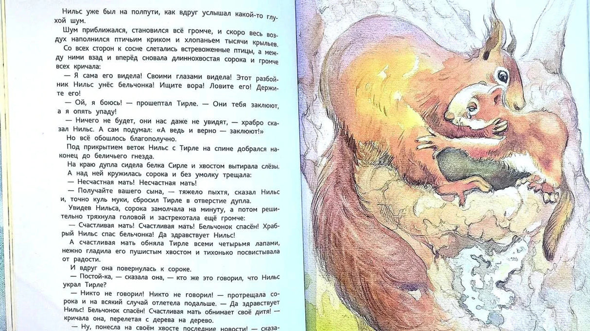 Разворот: текст и иллюстрация с белкой, обнимающей бельчонка