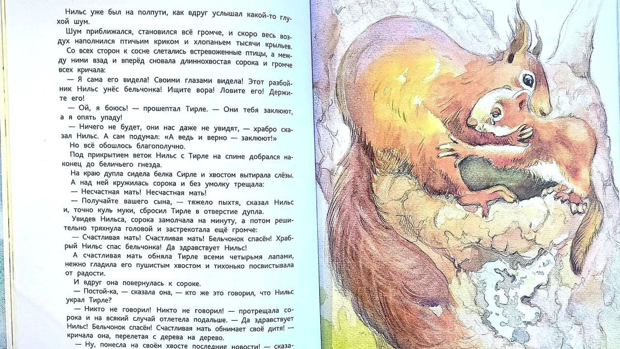 Разворот: текст и иллюстрация с белкой, обнимающей бельчонка