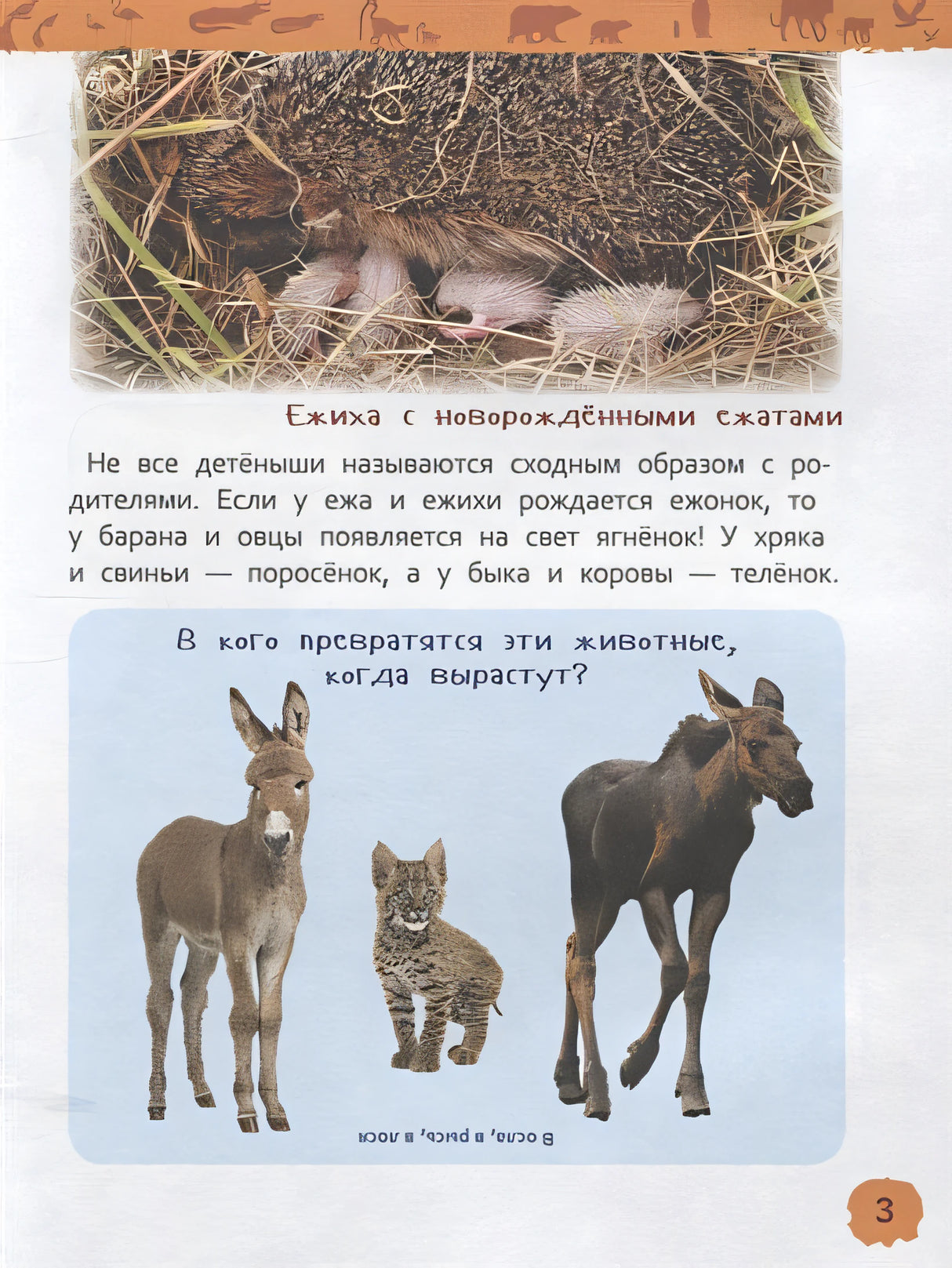 Детеныши животных 978-5-353-09339-8 - 2