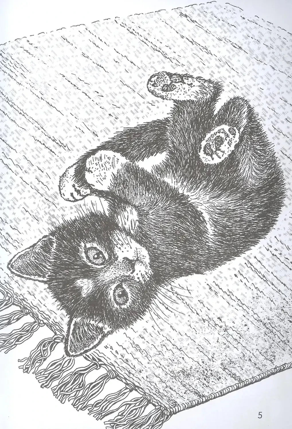 Чёрно-белый рисунок котёнка, играющего на коврике, страница 5.