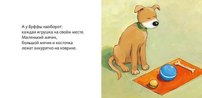 Разворот: Буффа сидит рядом с аккуратно разложенными мячами и косточкой.