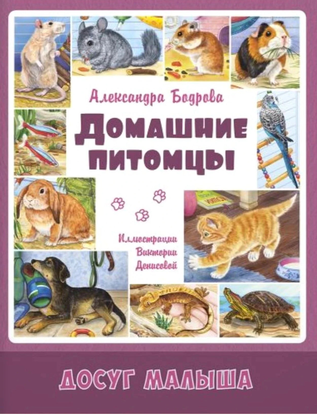 Обложка книги «Домашние питомцы» с рисунками котёнка, щенка, попугая и других питомцев