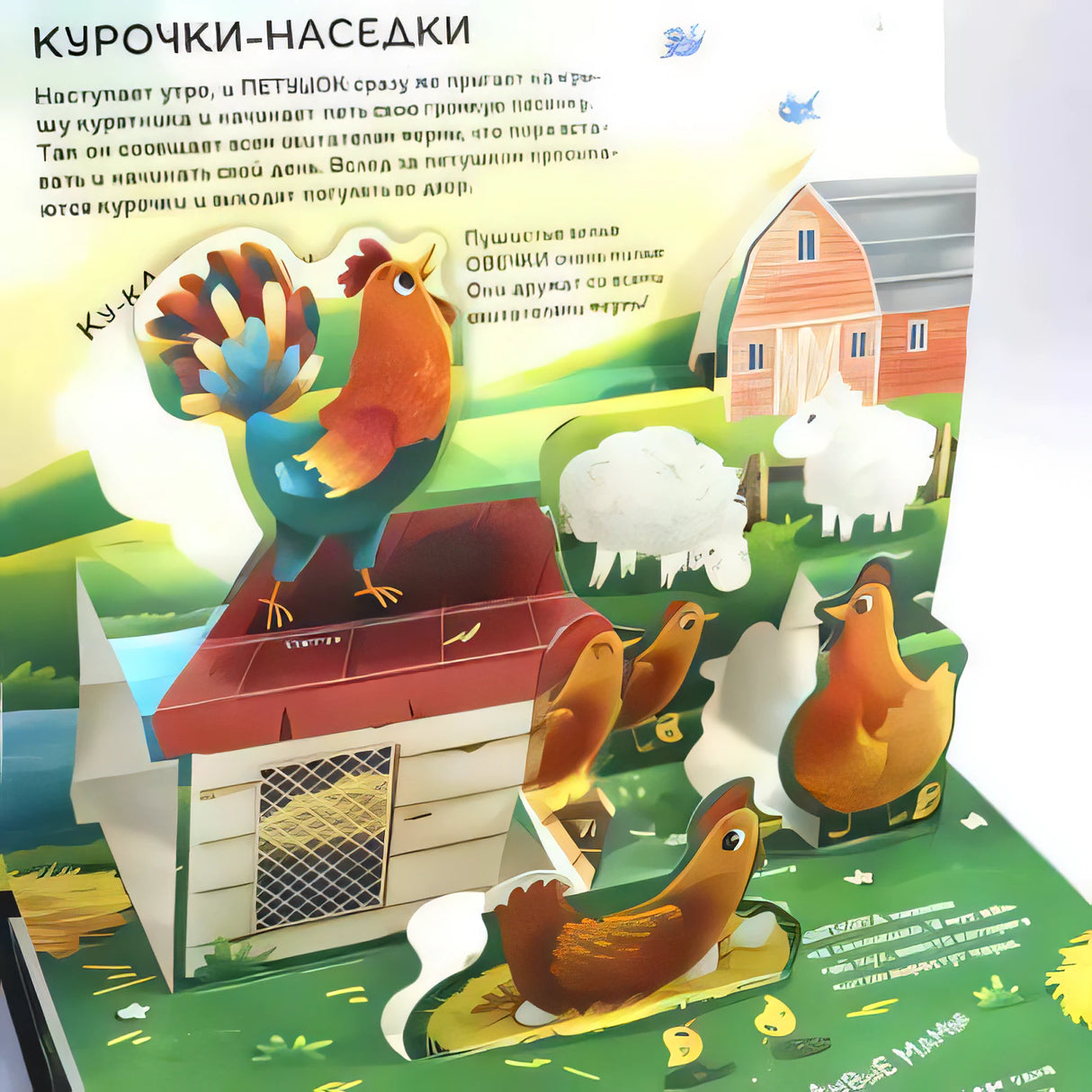 Разворот «Курочки-наседки» с pop-up петухом, курами и овцами у курятника.