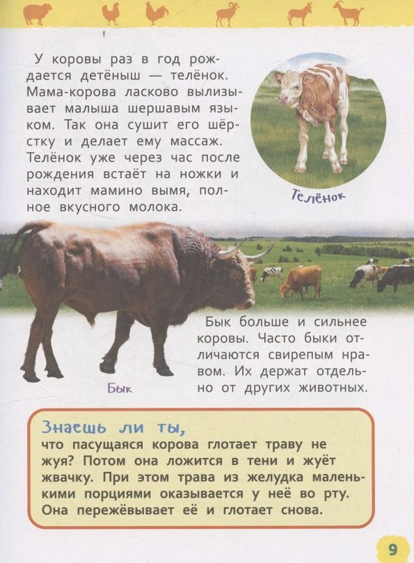 Страница 9 о корове, телёнке и быке.