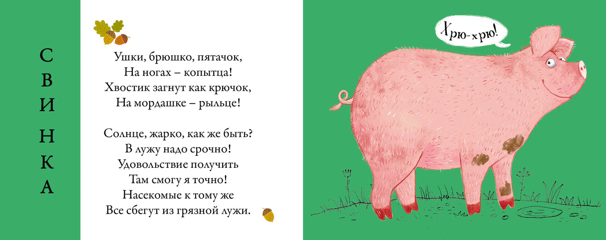 Разворот с загадкой о свинке и рисунком розовой свинки.