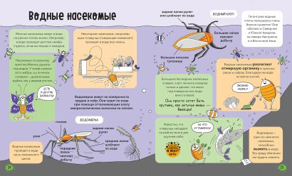 Насекомые и не только