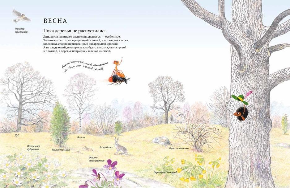 Разворот книги "Экспедиция Софи" с иллюстрациями весеннего леса.