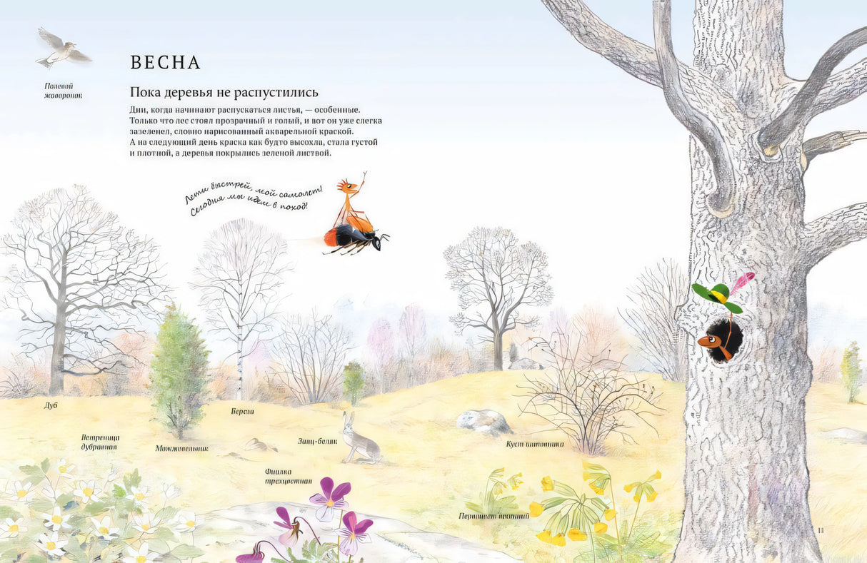 Разворот книги "Экспедиция Софи" с иллюстрациями весеннего леса.