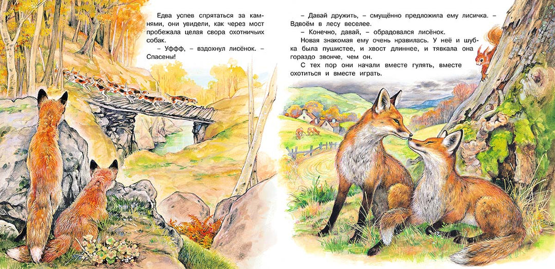 Приключения лисёнка