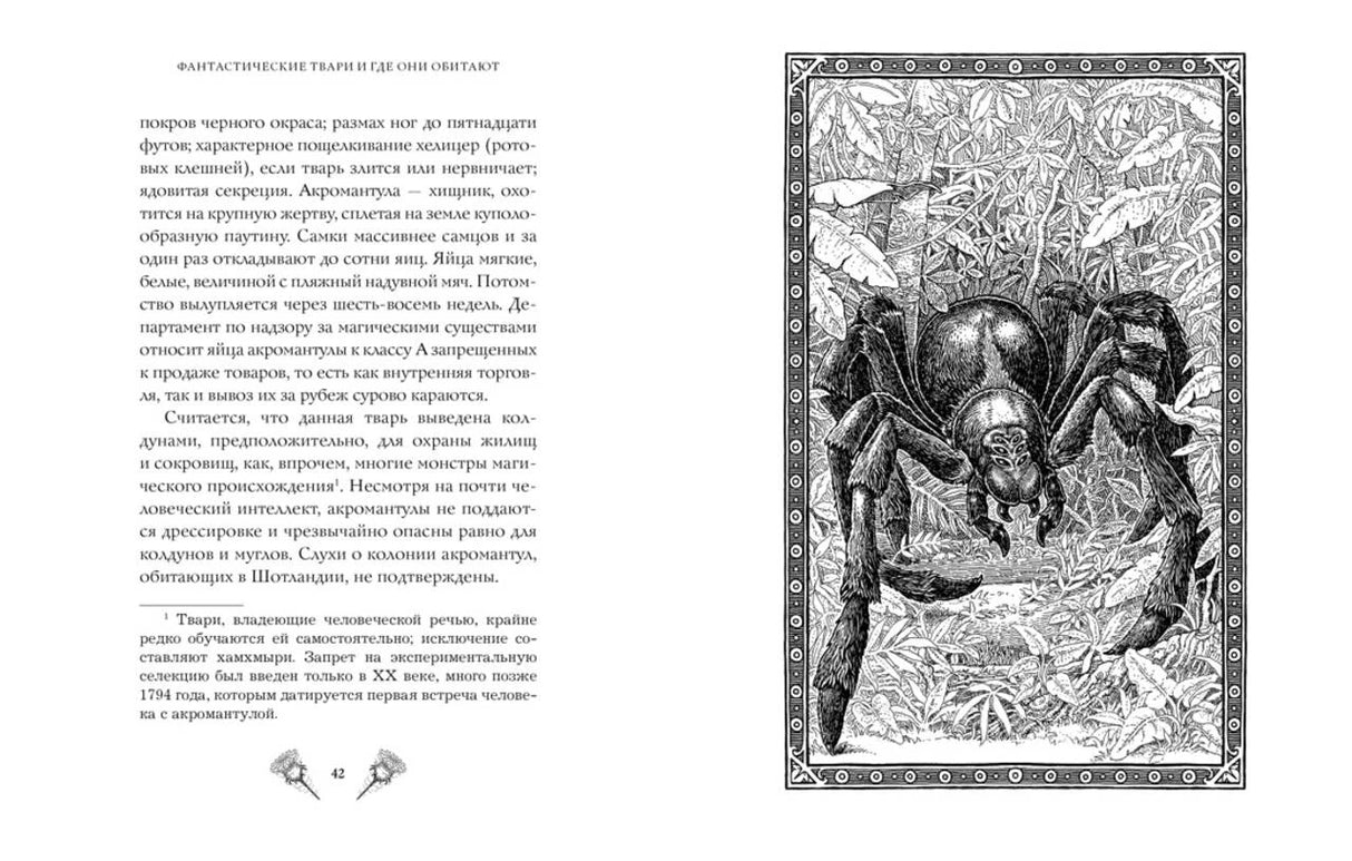 Разворот с текстом о акромантуле и чёрно-белой иллюстрацией гигантского паука.