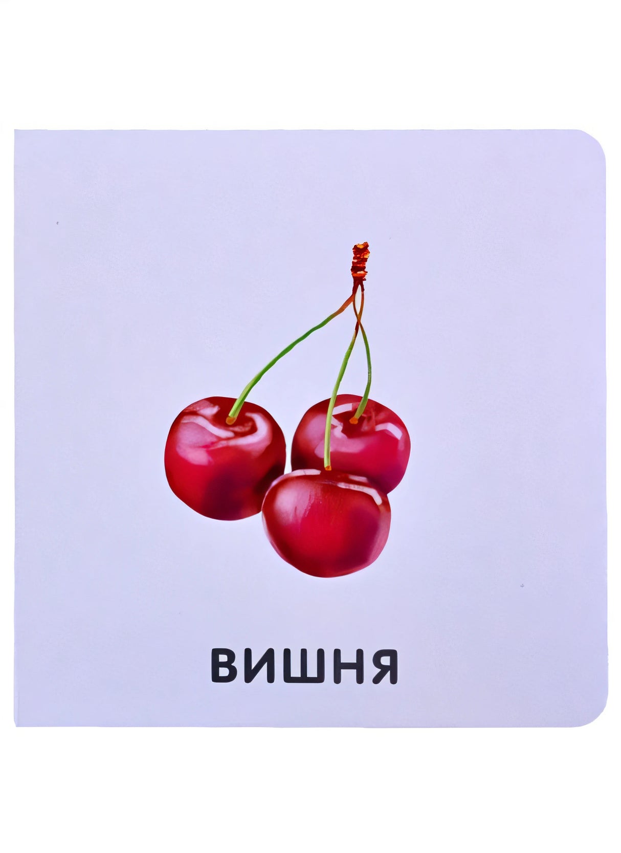 Фрукты и ягоды 978-5-4366-0755-9 - 3