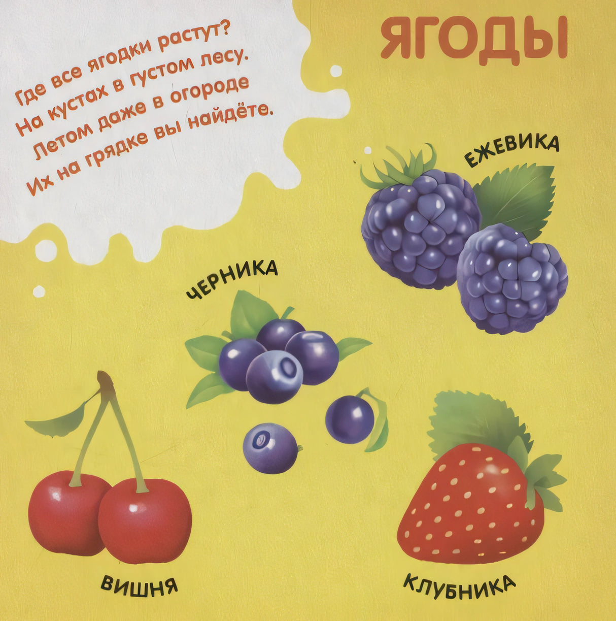 Страница «Ягоды» с ежевикой, черникой, вишней и клубникой