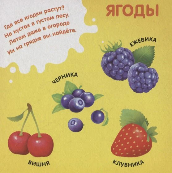 Страница «Ягоды» с ежевикой, черникой, вишней и клубникой