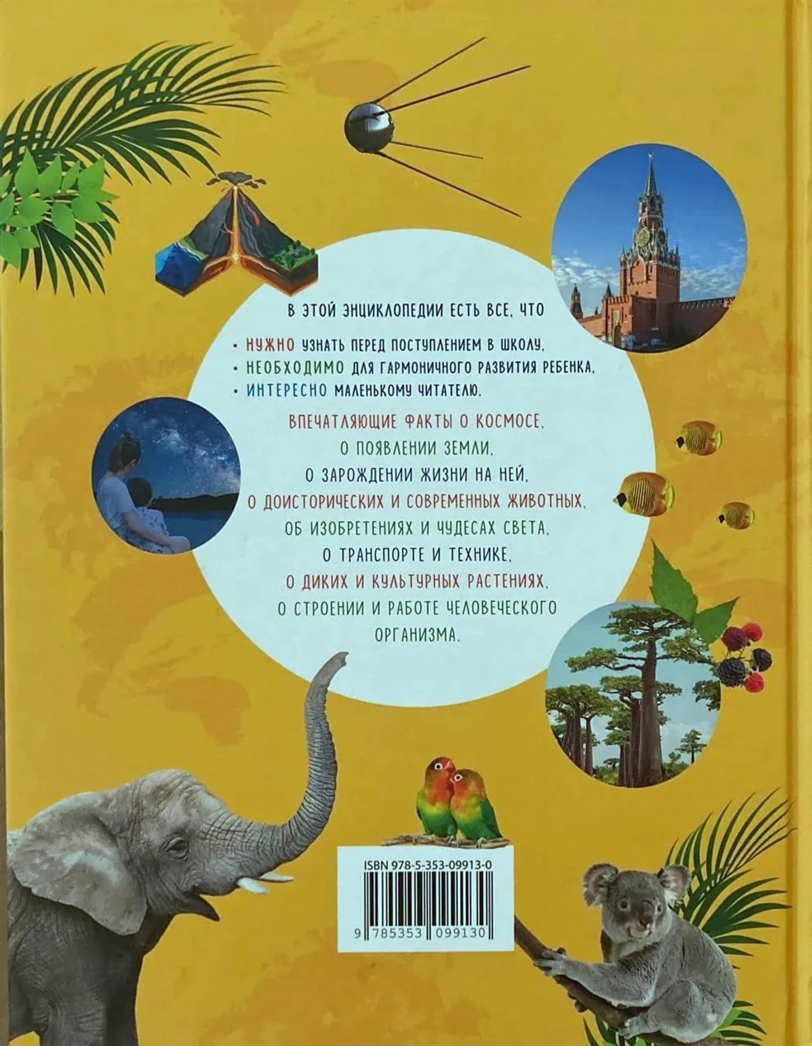 Задняя обложка с описанием тем энциклопедии и ISBN