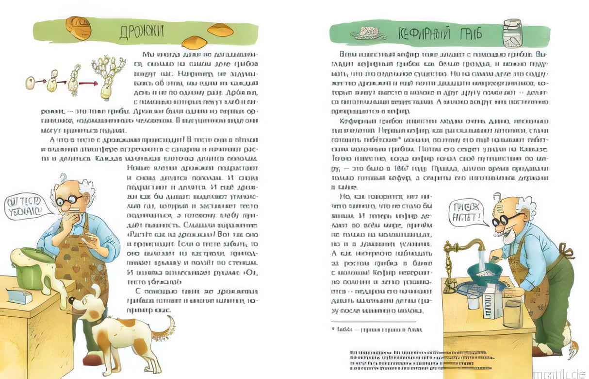 Книга Грибное царство - разворот с информацией о дрожжах и кефире.