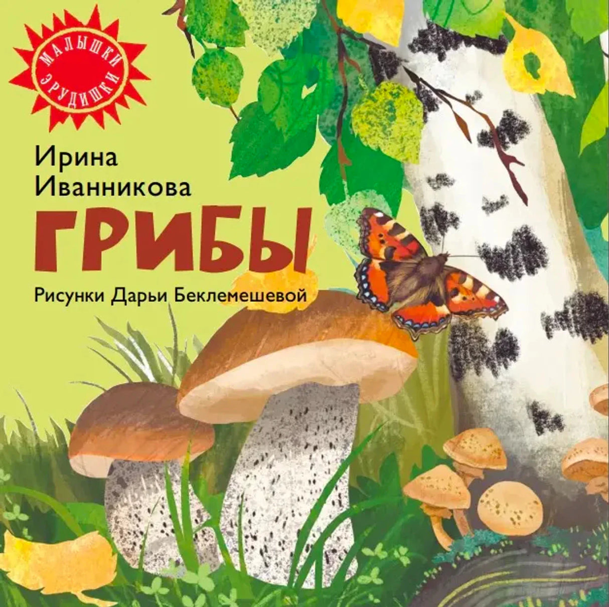 Грибы