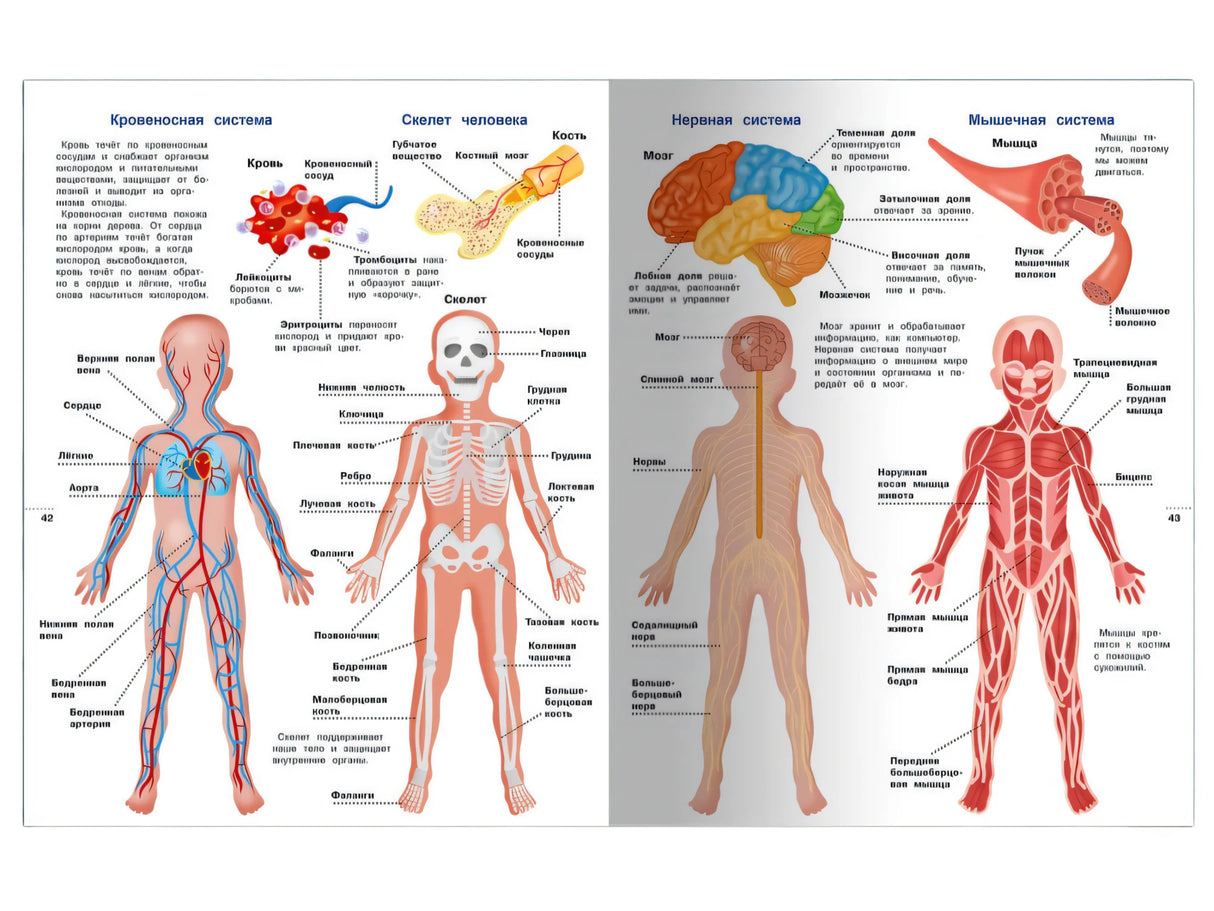 Иллюстрированная энциклопедия для детей 9785465046923