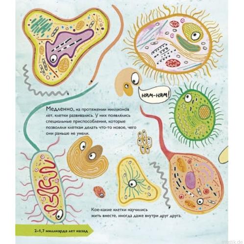 иллюстрация из книги "История жизни" - микроорганизмы