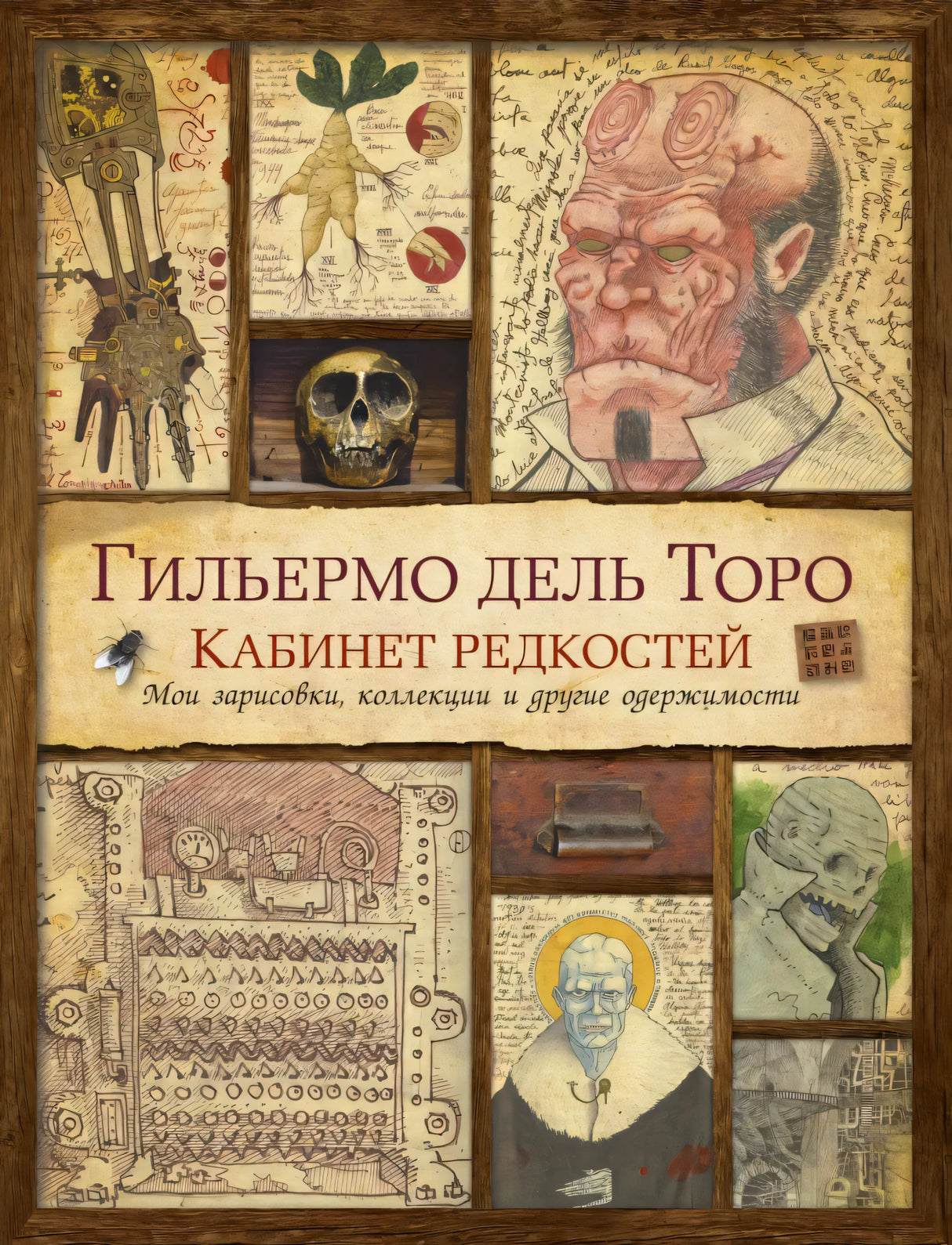Передняя обложка «Кабинет редкостей» Гильермо дель Торо