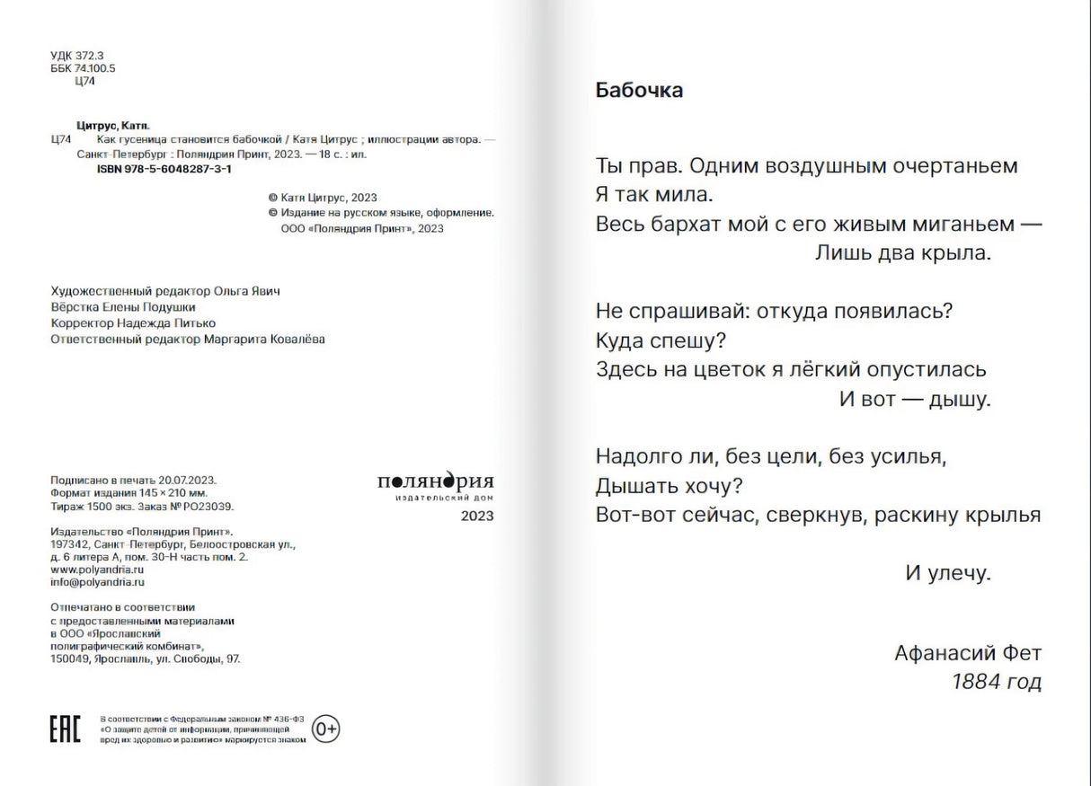 Как гусеница становится бабочкой 9785604828731