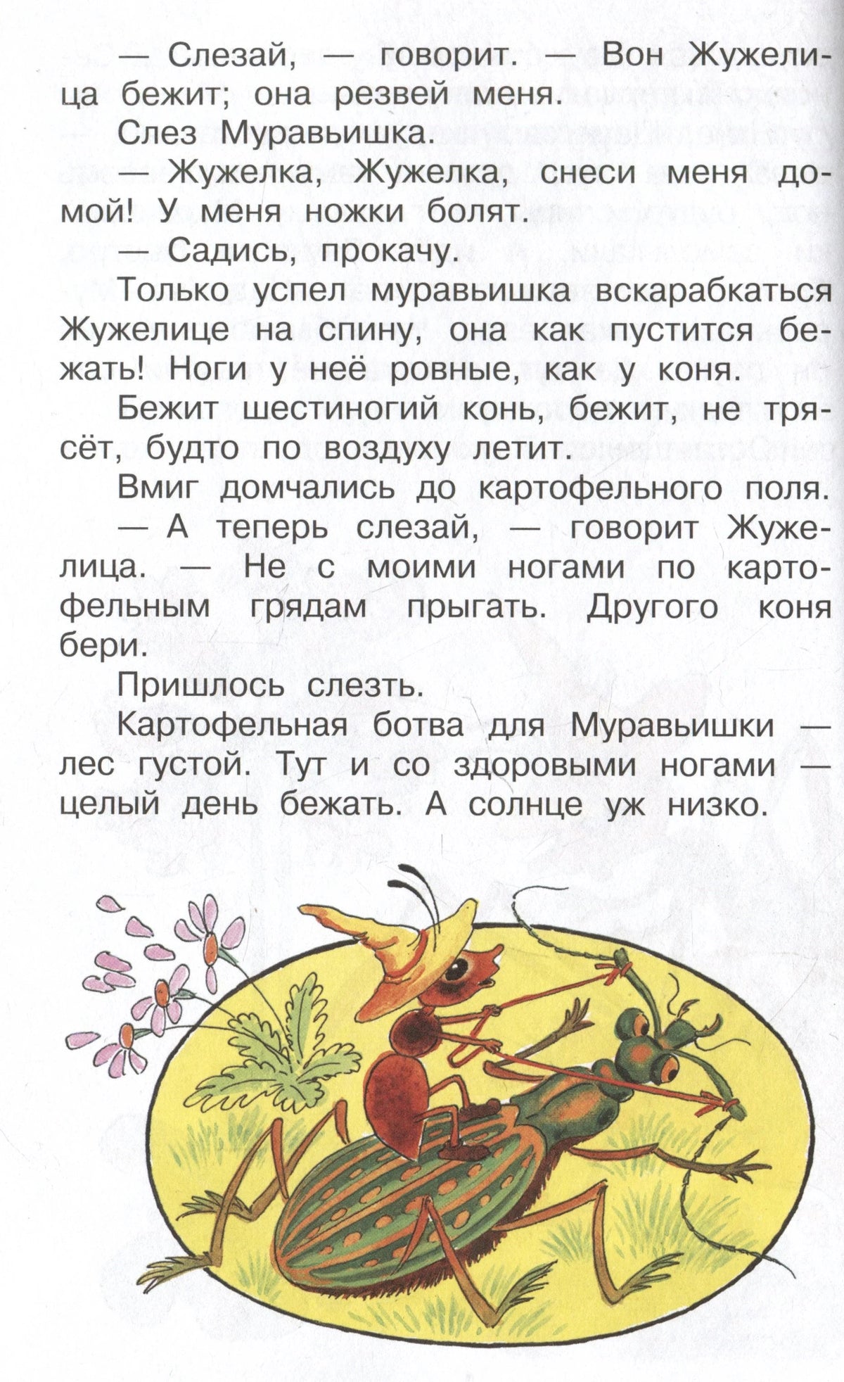 Страница сказки с текстом о жужелице и рисунком муравья на жуке