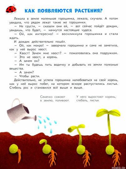 Как появляются растения? Иллюстрация из книги "Энциклопедия для малышей в сказках".