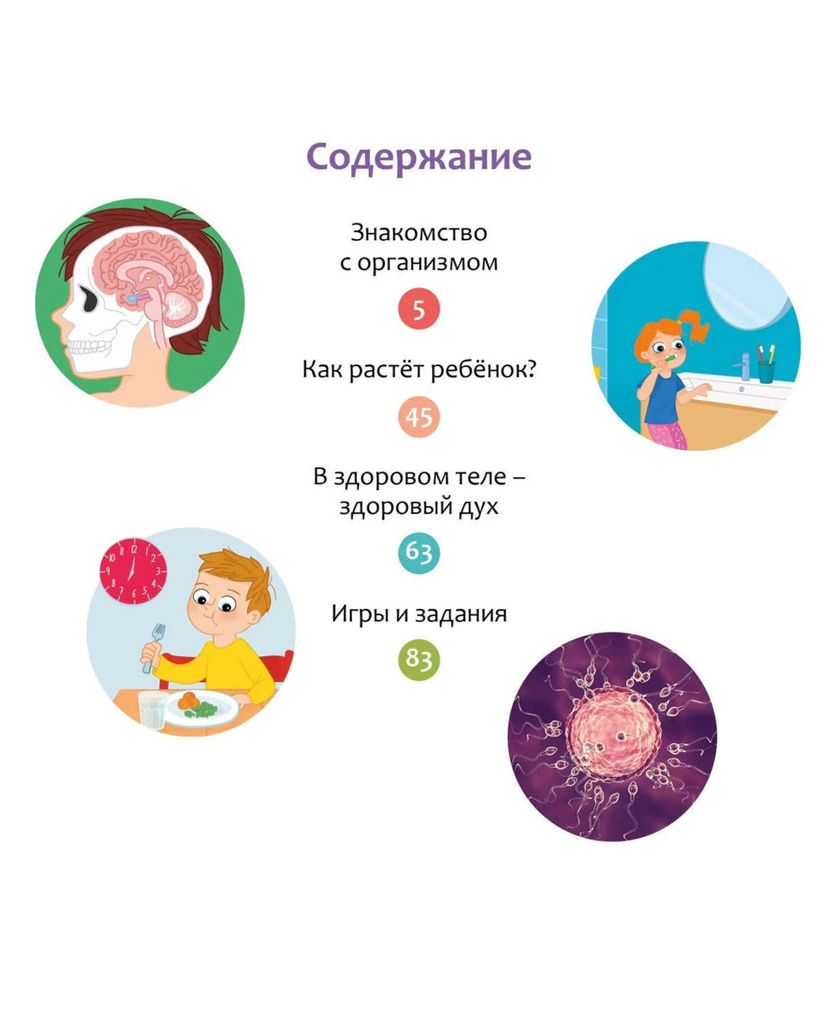 Страница содержания с четырьмя разделами книги и круглыми иллюстрациями
