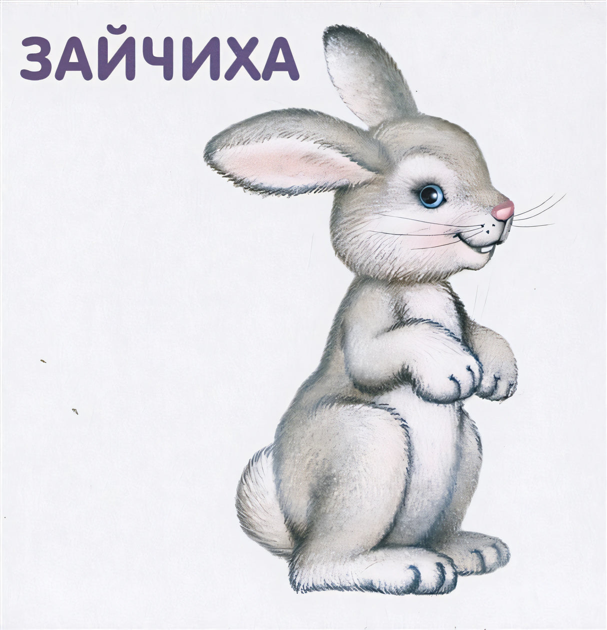 Книжки-картонки. Животные и детеныши 978-5-4366-0556-2 - 2