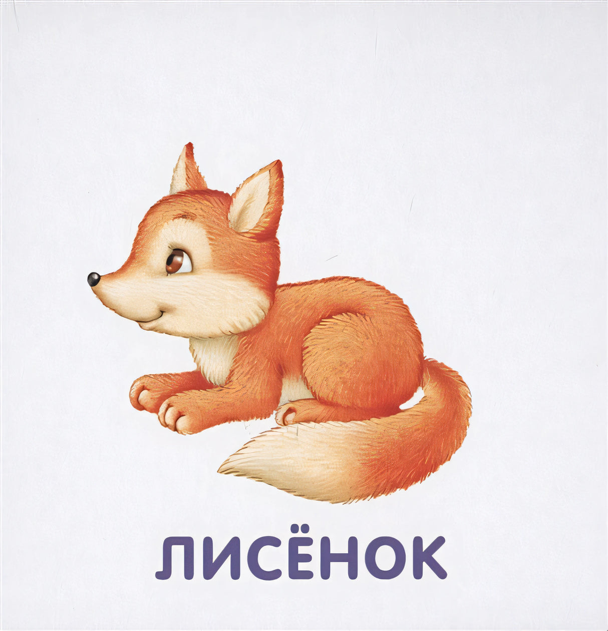 Книжки-картонки. Животные и детеныши 978-5-4366-0556-2 - 1