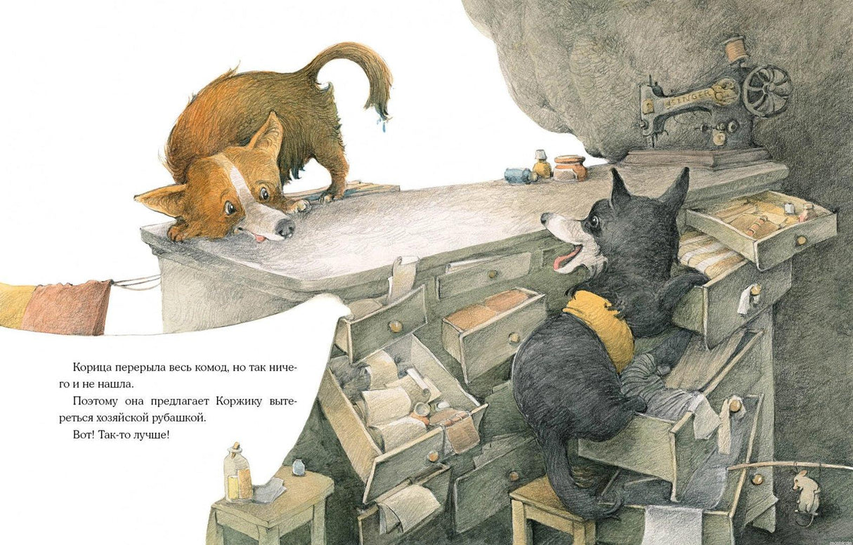 Коржик и Корица шалить - перерывают комод