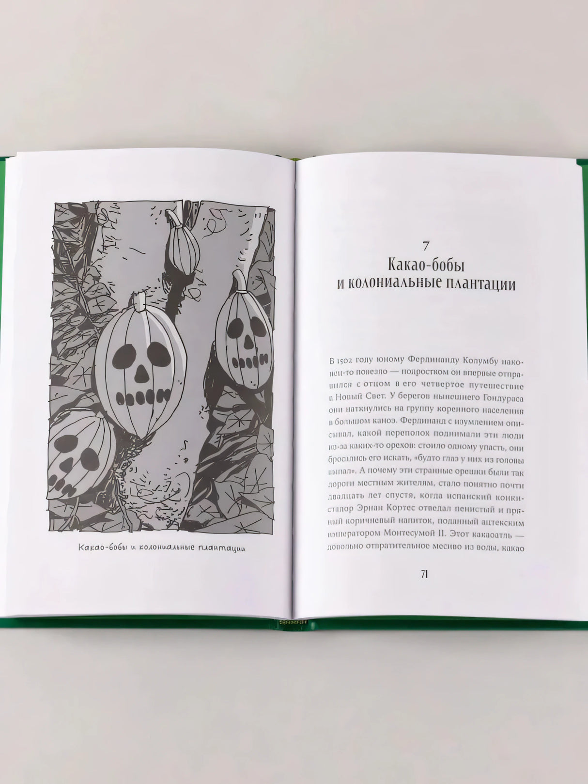 Разворот книги: глава о какао-бобах и колониальных плантациях, слева иллюстрация