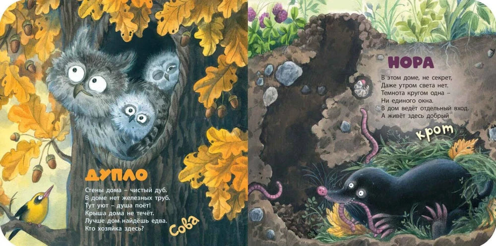 Разворот с загадками про дупло, сову, нору и крота