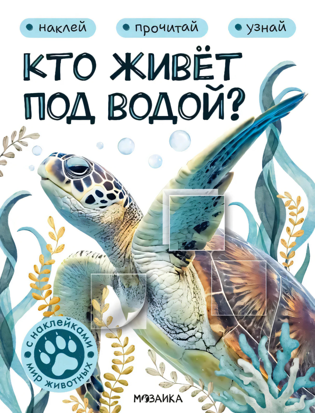 Обложка книги «Кто живёт под водой?» с морской черепахой и водорослями