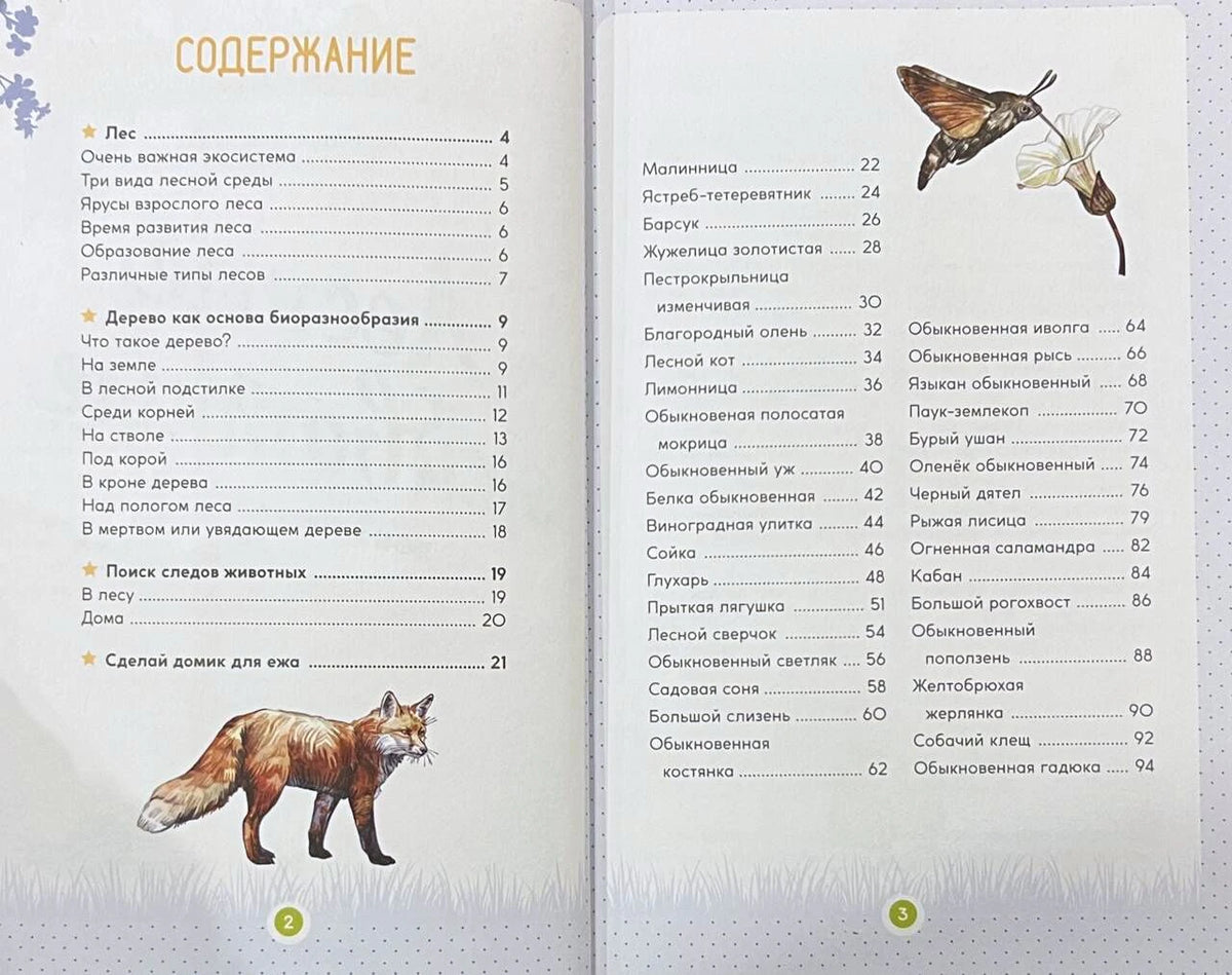 Содержание книги на страницах 2–3 с рисунком лисы