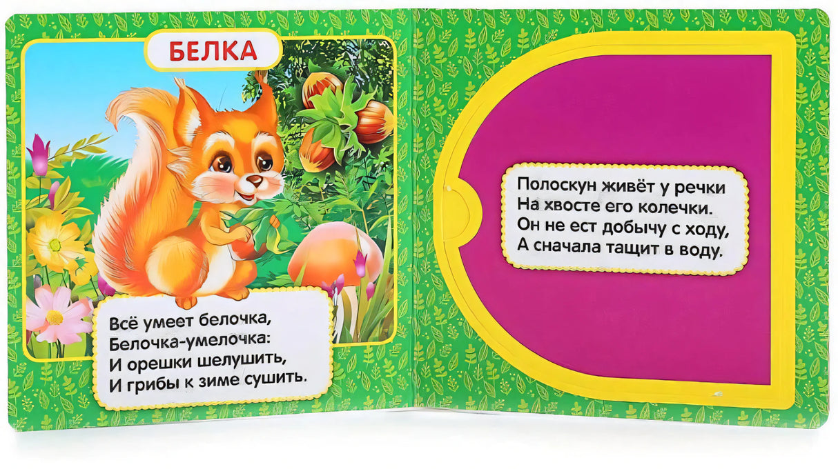 Разворот книги: страница с белкой и стихом, страница с окошком и стихом про полоскуна
