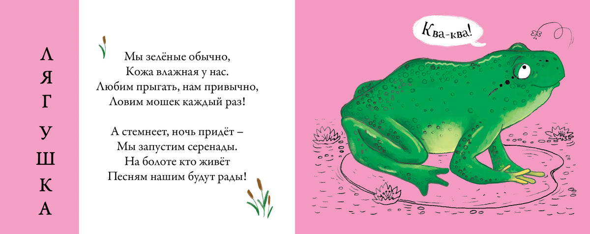 Разворот со стихом о лягушке и иллюстрацией зелёной лягушки.
