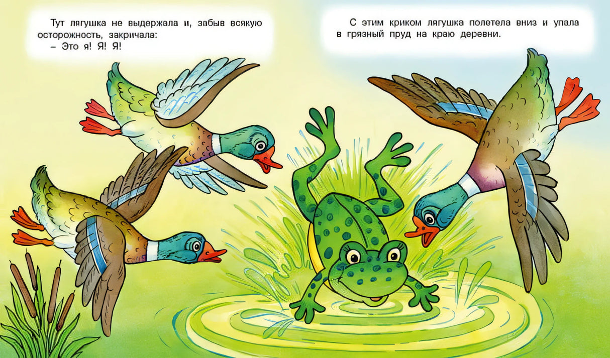 Лягушка-путешественница 978-5-7833-2934-0 - 2