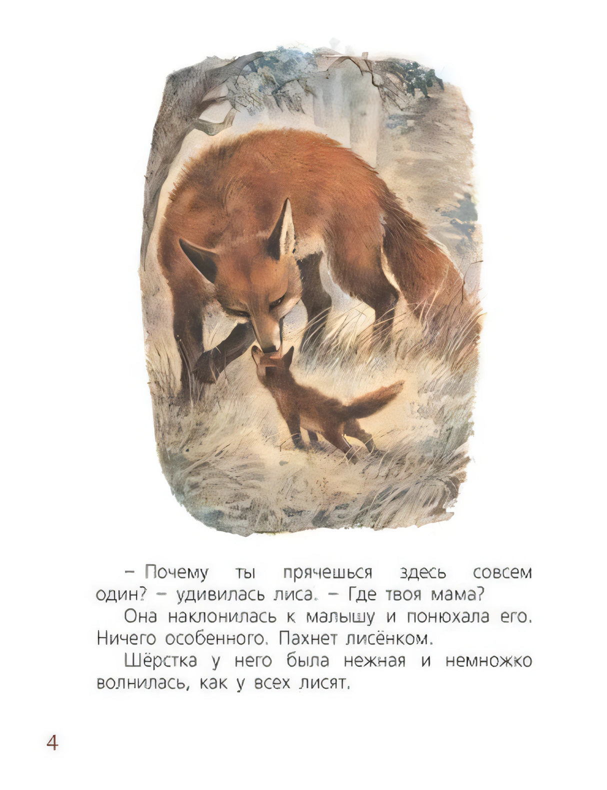 Страница 4 с цветной иллюстрацией лисы, наклонившейся к лисёнку