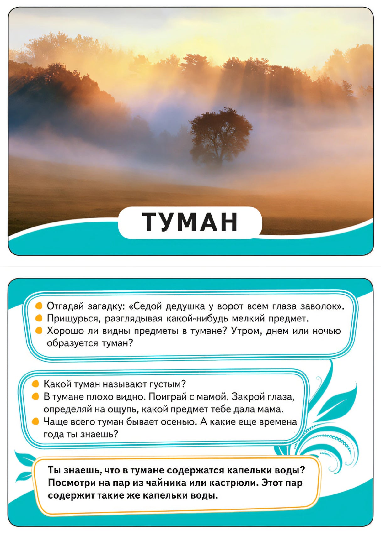 Мир вокруг (Развивающие карточки, 0+) 4680274012952 - 1