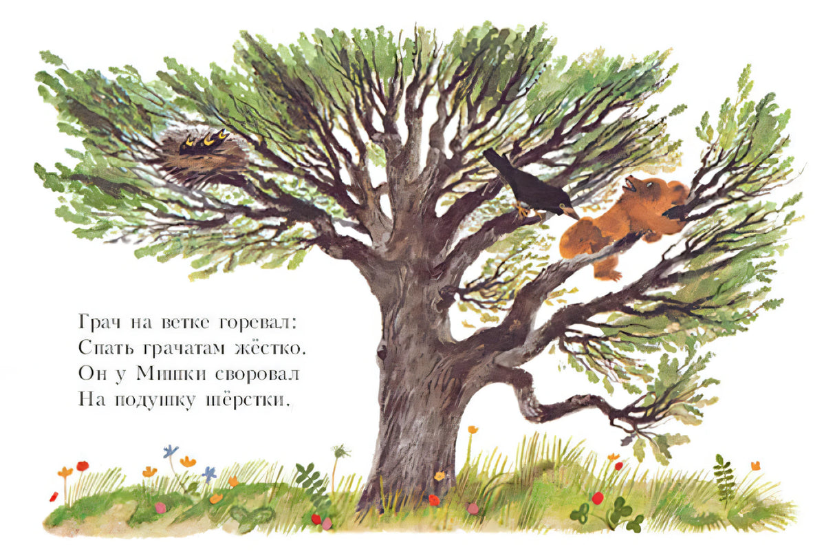 Мишка 9785926844648