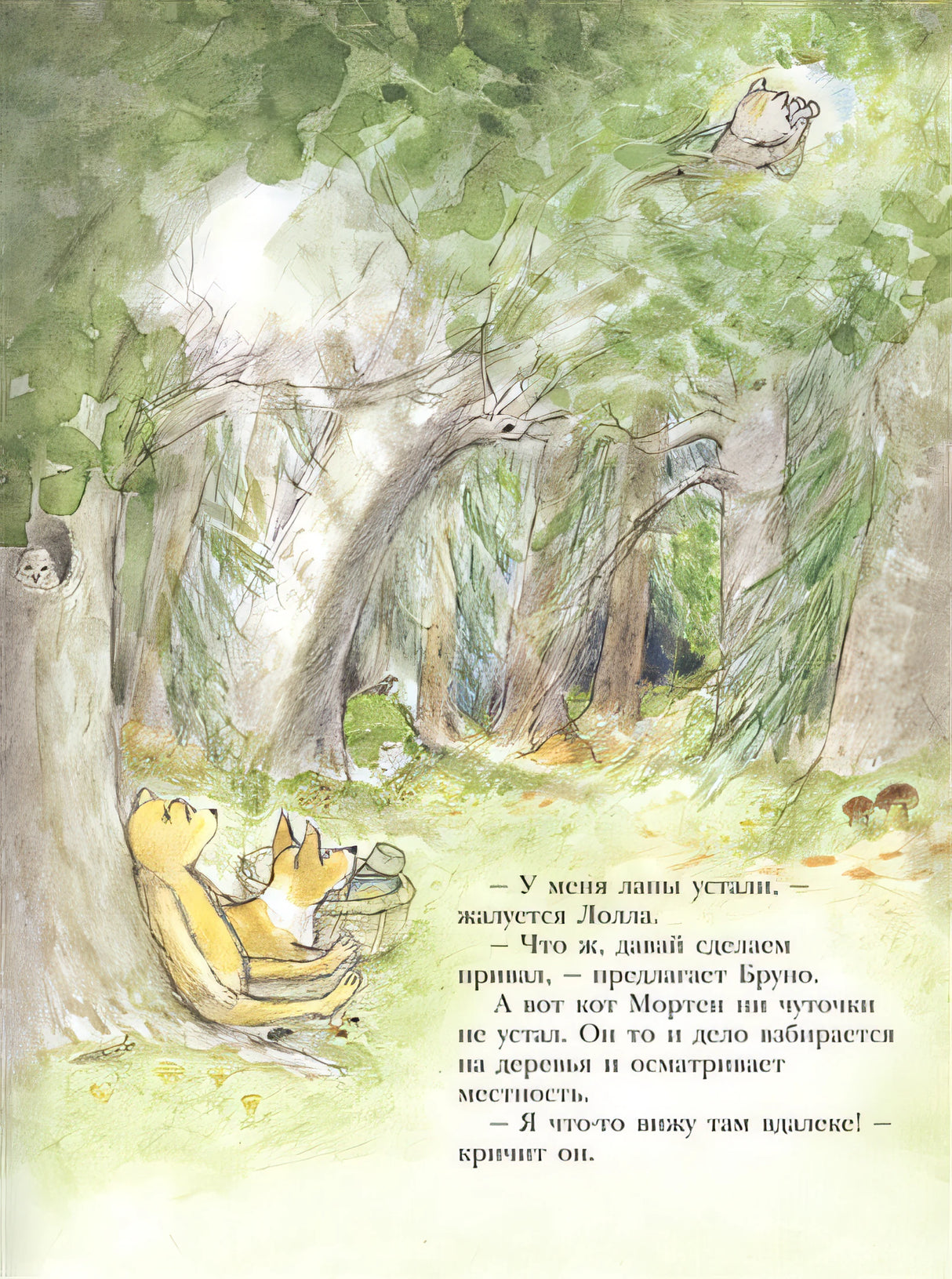 Мишка Бруно летит на Луну. Для самых маленьких 3-5 лет 978-5-00041-300-5 - 1